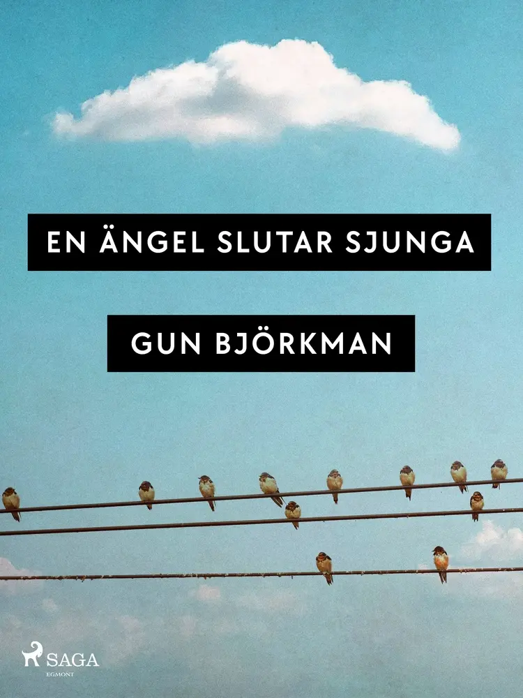 En ängel slutar sjunga af Gun Björkman