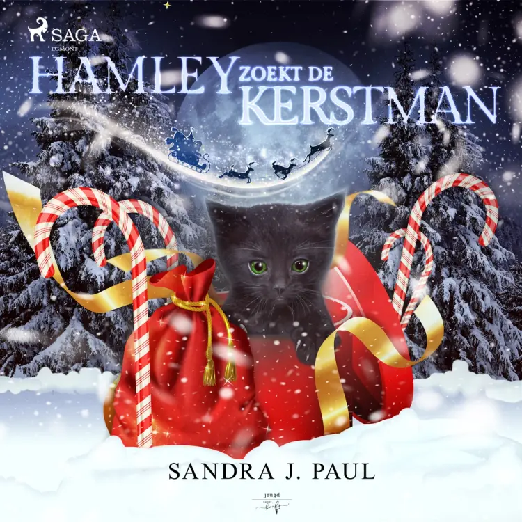 Hamley zoekt de kerstman af Sandra J. Paul