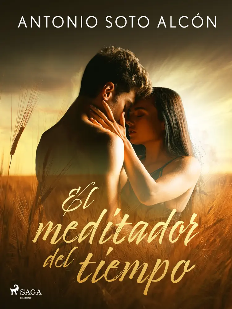 El meditador del tiempo af Antonio Soto Alcón