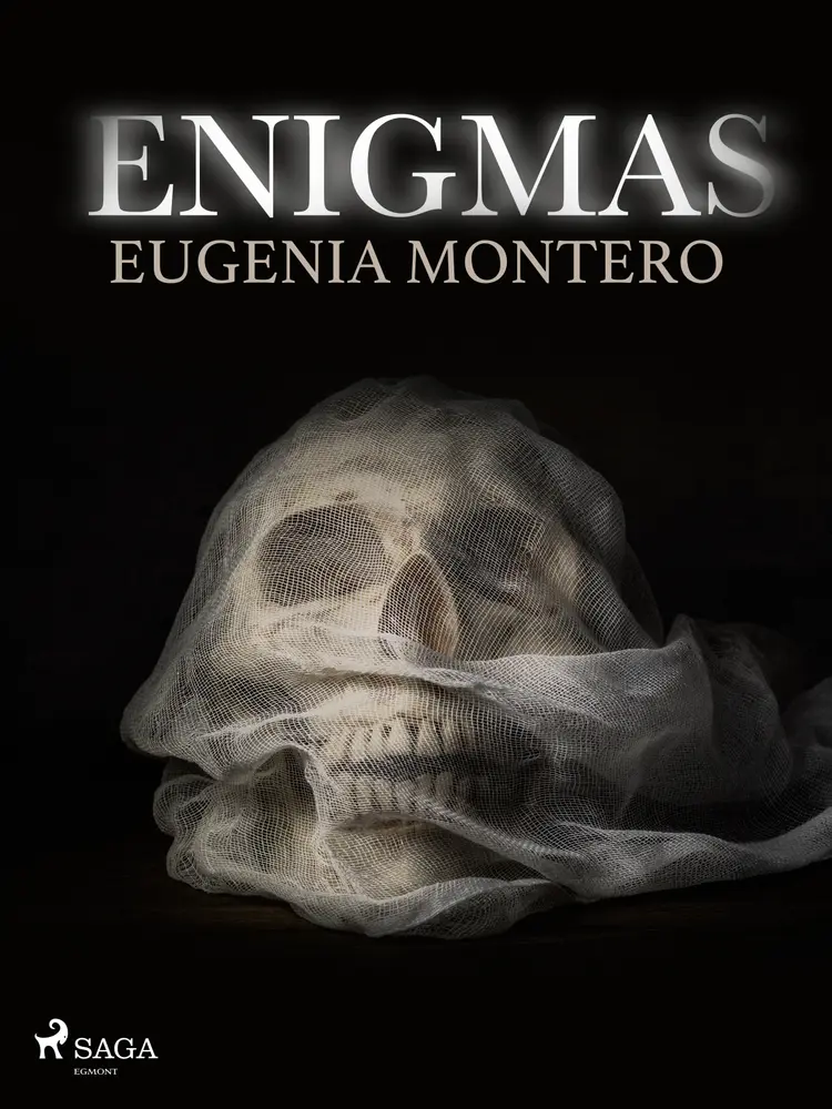 Enigmas af Eugenia Montero