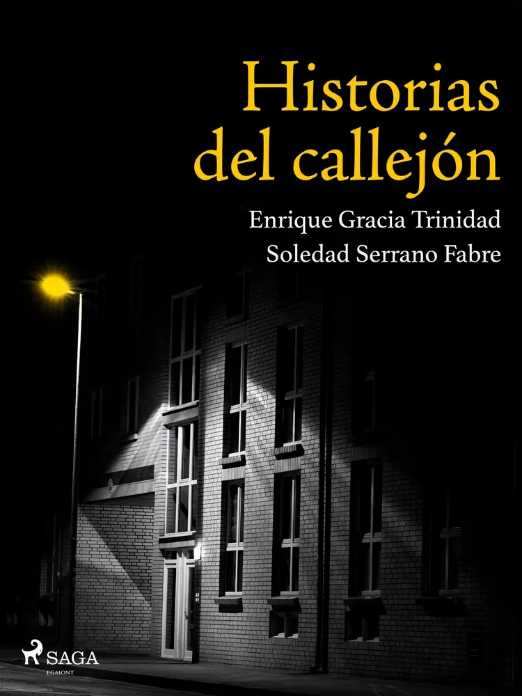 Historias del callejón af Soledad Serrano Fabre