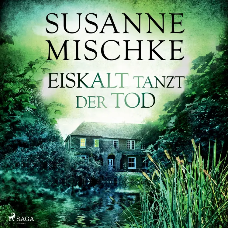 Eiskalt tanzt der Tod (Hannover-Krimis, Band 11) af Susanne Mischke