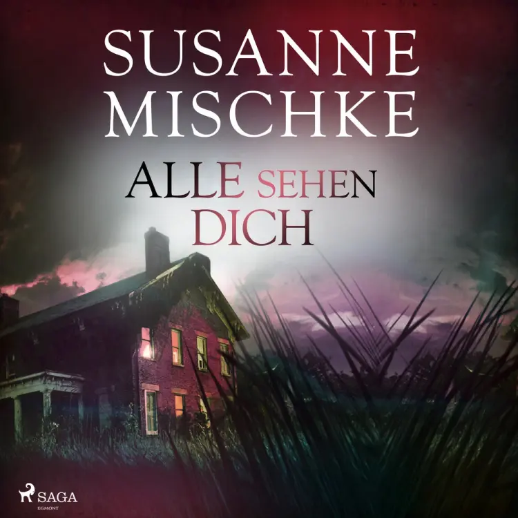 Alle sehen dich (Hannover-Krimis, Band 12) af Susanne Mischke