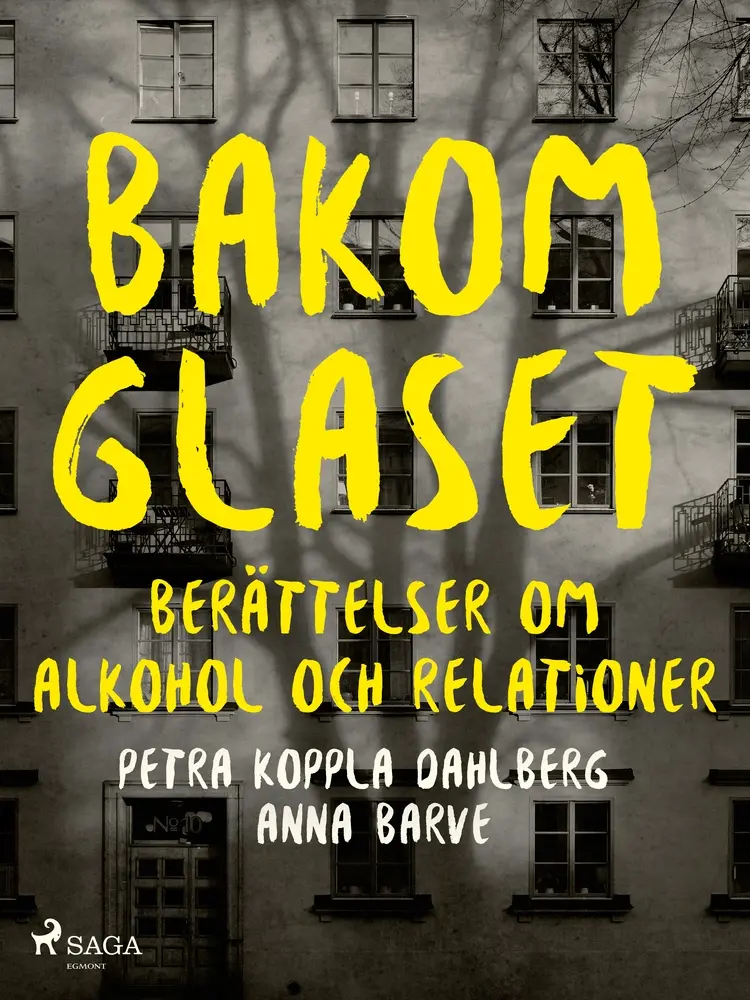 Bakom glaset : berättelser om alkohol och relationer af Petra Koppla Dahlberg