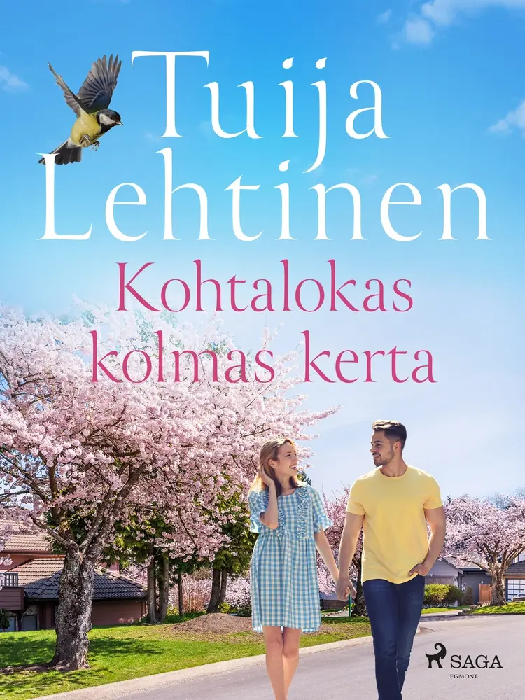 Kohtalokas kolmas kerta af Tuija Lehtinen