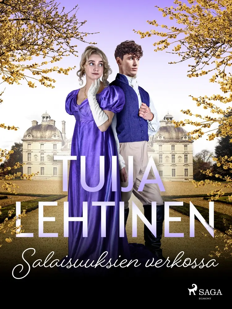Salaisuuksien verkossa af Tuija Lehtinen