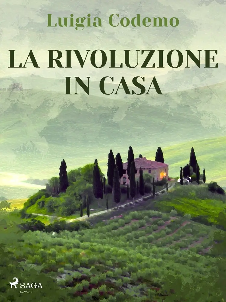 La rivoluzione in casa af Luigia Codemo