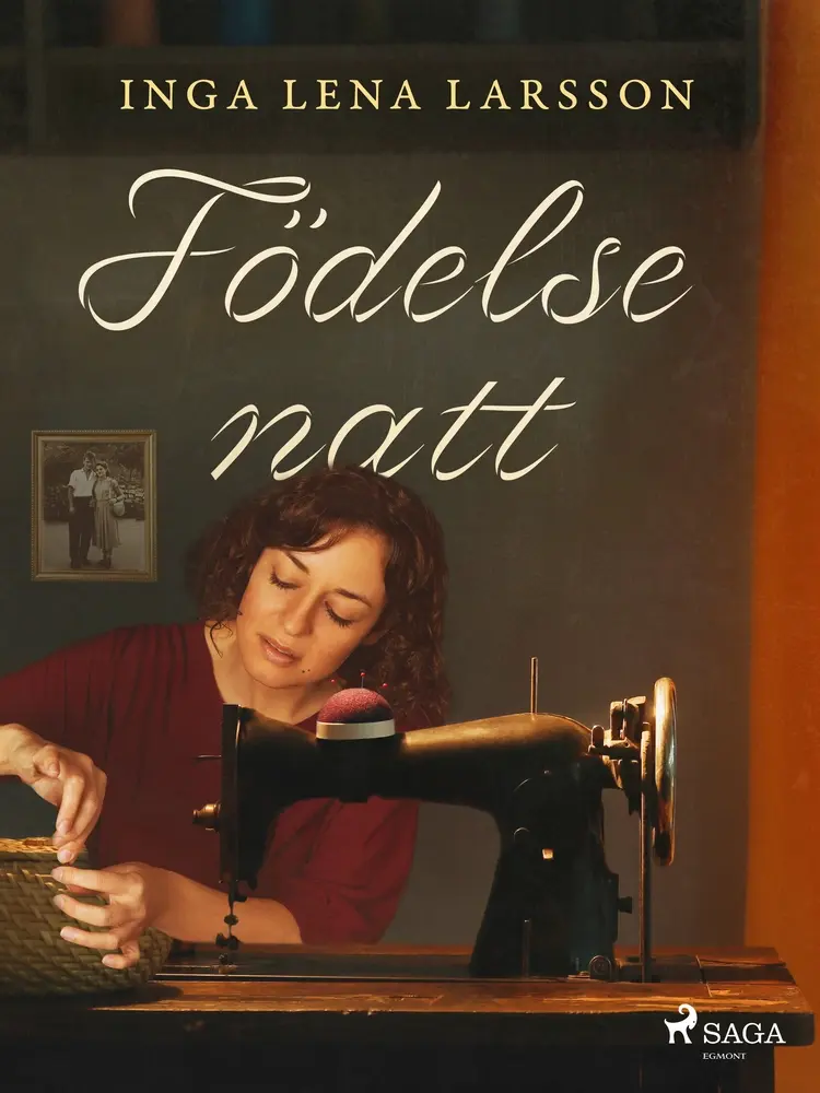 Födelsenatt af Inga Lena Larsson