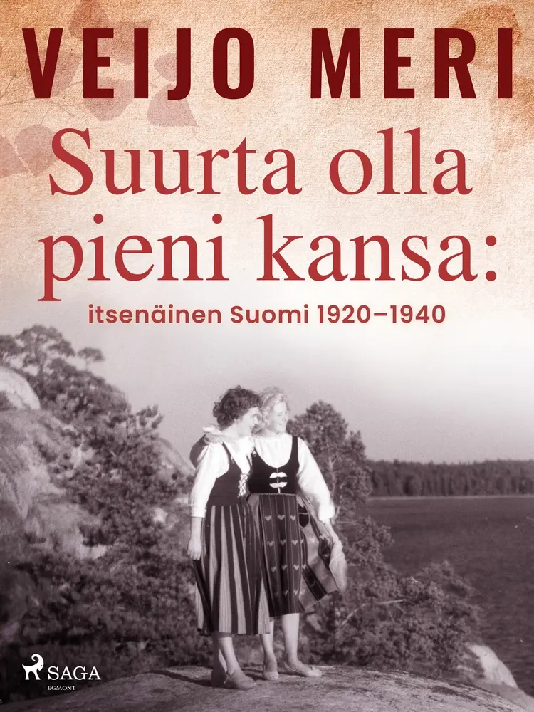 Suurta olla pieni kansa: itsenäinen Suomi 1920-1940 af Veijo Meri
