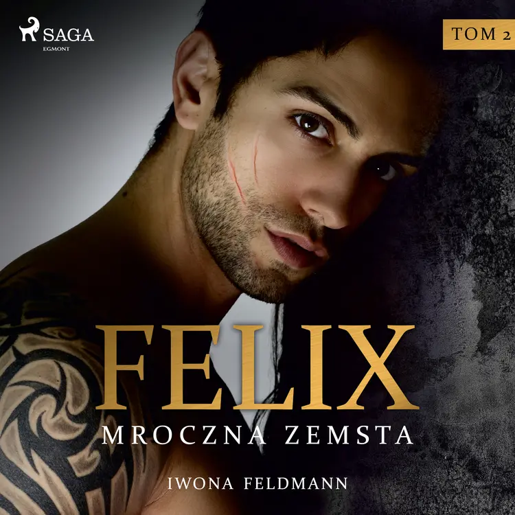 Felix. Mroczna zemsta af Iwona Feldmann