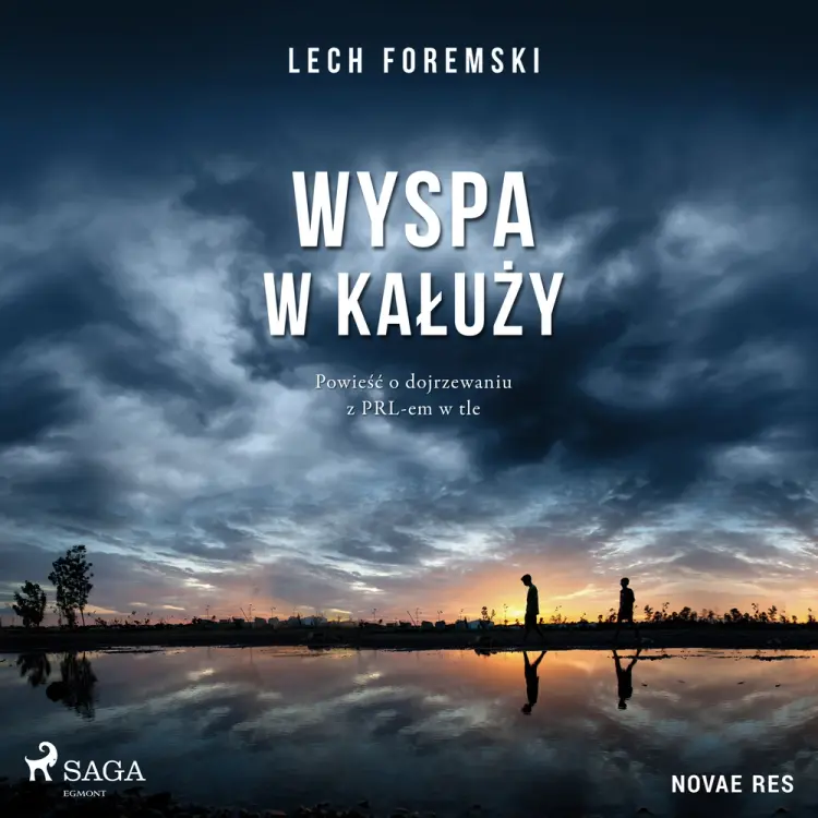 Wyspa w kałuży af Lech Foremski