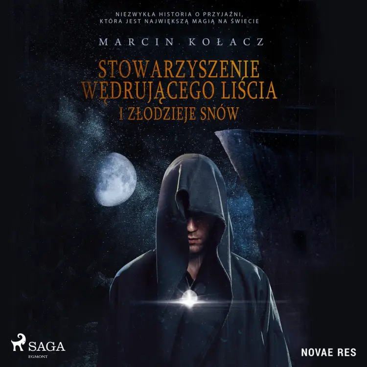 Stowarzyszenie wędrującego liścia i złodzieje snów af Marcin Kołacz