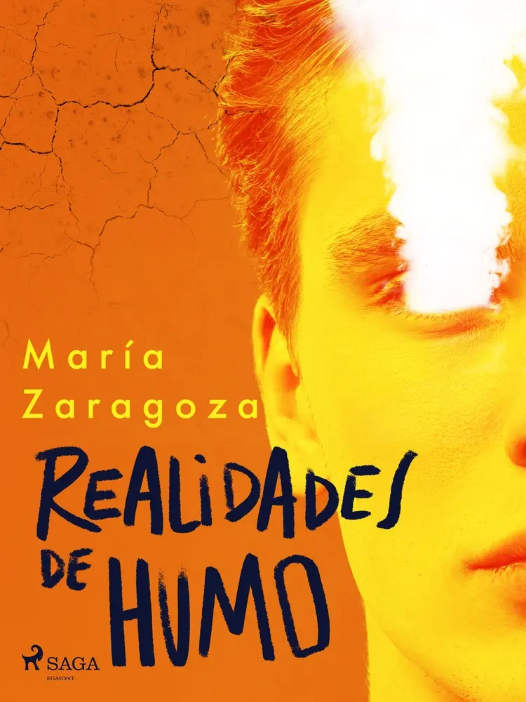 Realidades de humo af María Zaragoza Hidalgo