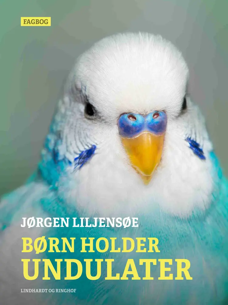 Børn holder undulater af Jørgen Liljensøe