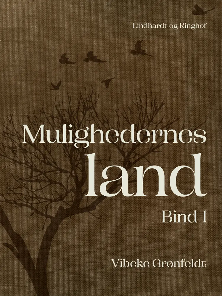 Mulighedernes land. Bind 1 af Vibeke Grønfeldt