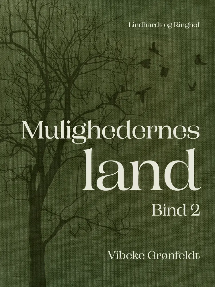 Mulighedernes land. Bind 2 af Vibeke Grønfeldt