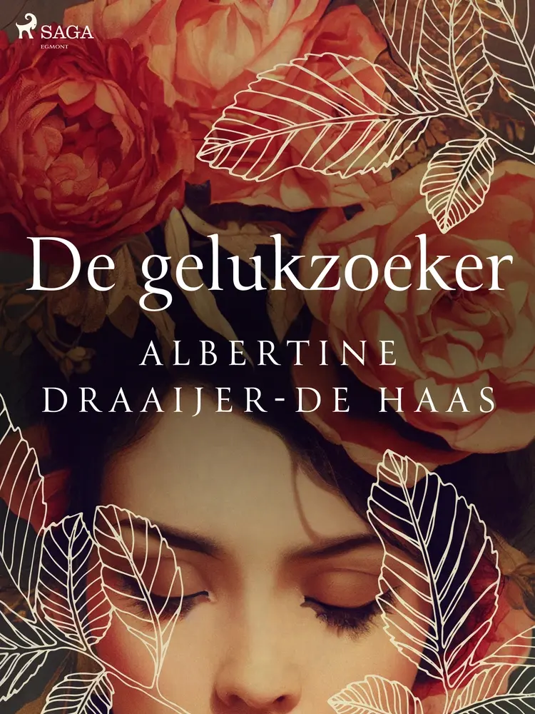De gelukzoeker af Albertine Draaijer-de Haas