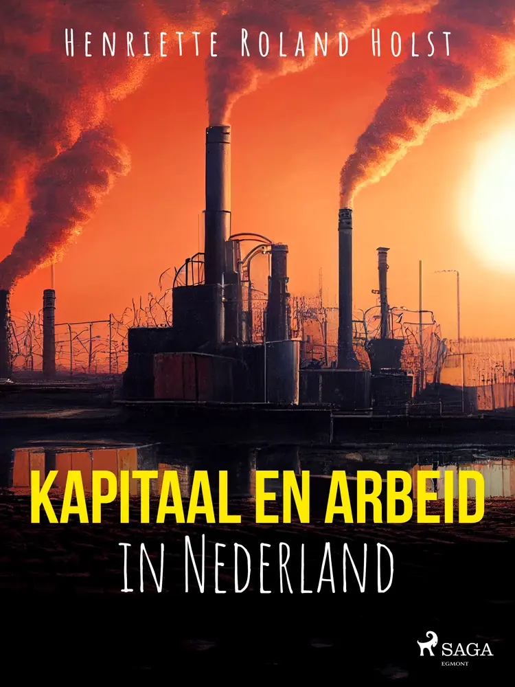Kapitaal en arbeid in Nederland af Henriette Roland Holst