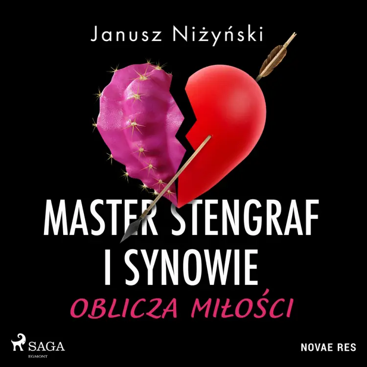 Master Stengraf i synowie. Oblicza miłości af Janusz Niżyński