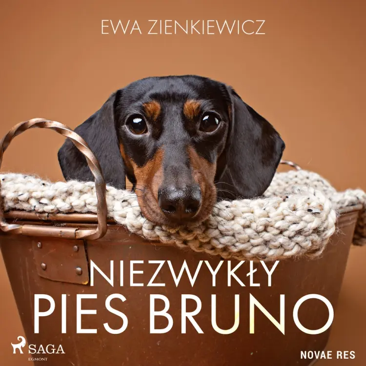 Niezwykły pies Bruno af Ewa Zienkiewicz