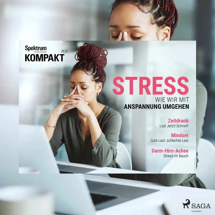 Spektrum Kompakt: Stress - Wie wir mit Anspannung umgehen af Spektrum Kompakt