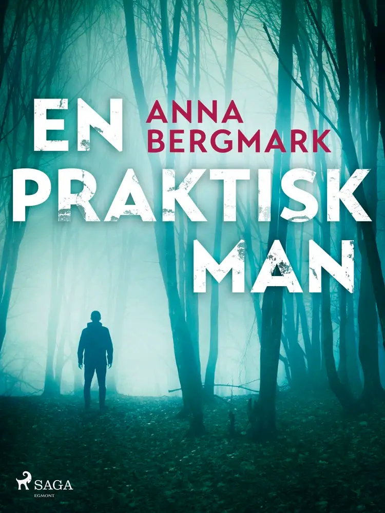 En praktisk man af Anna Bergmark