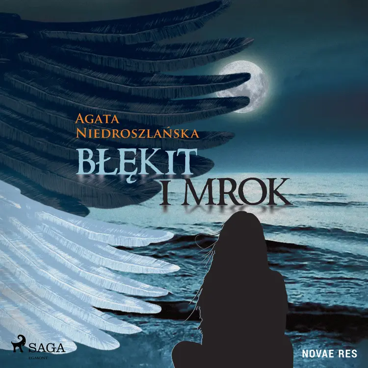 Błękit i mrok af Agata Niedroszlańska