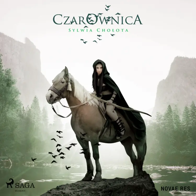 Czarownica af Sylwia Chołota