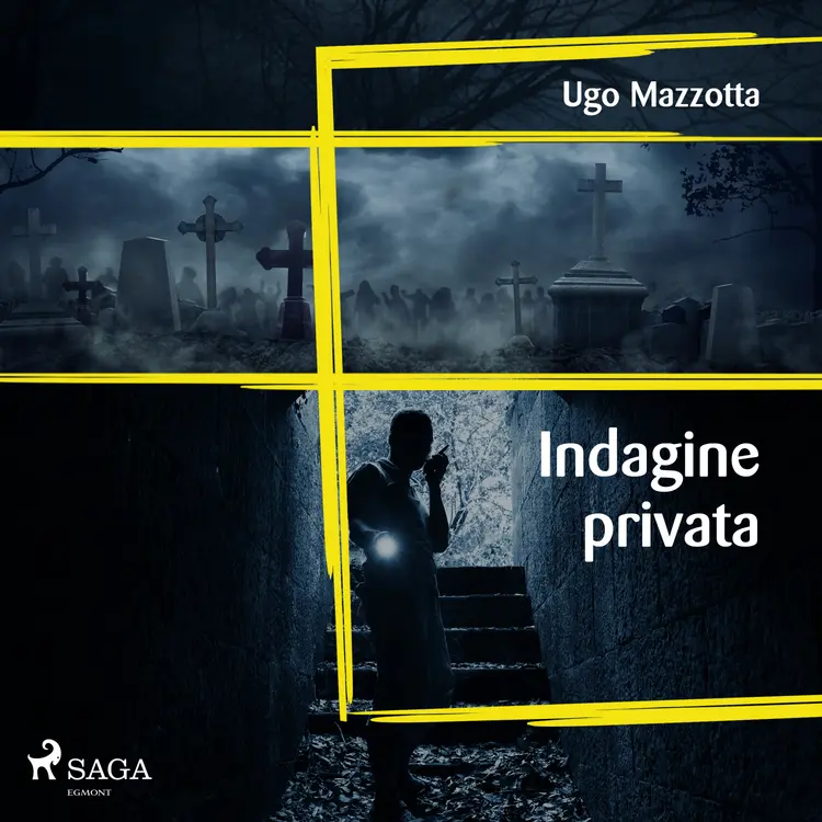 Indagine privata af Ugo Mazzotta