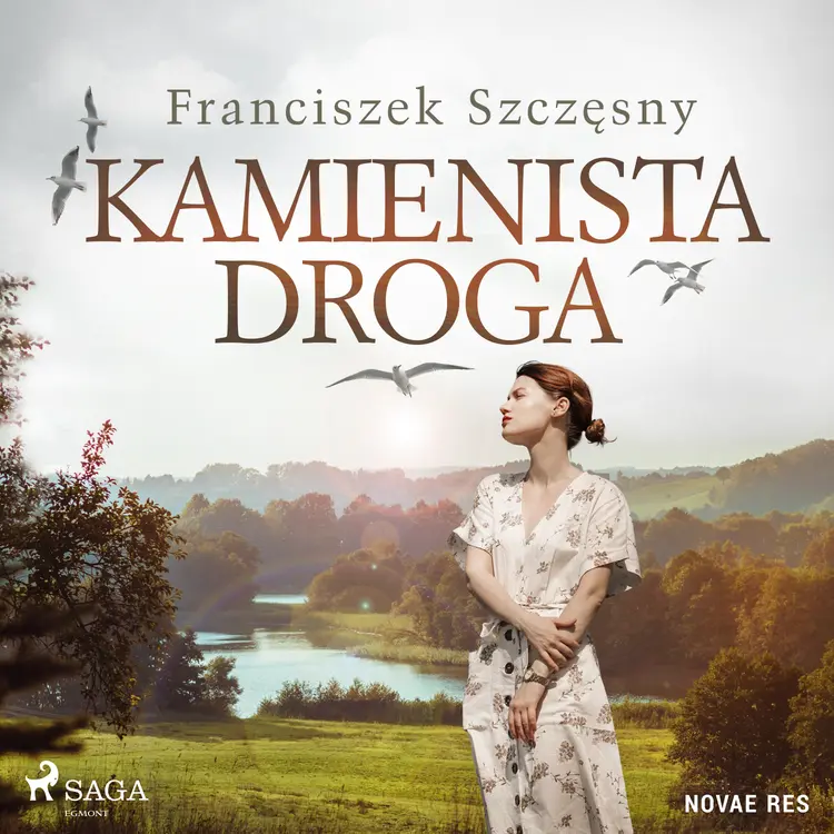 Kamienista droga af Franciszek Szczęsny