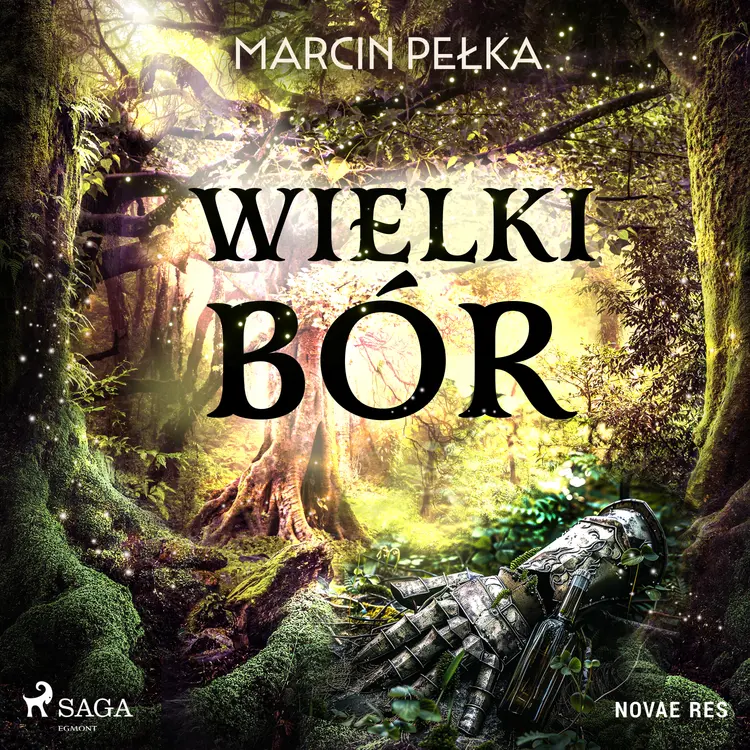 Wielki Bór af Marcin Pełka