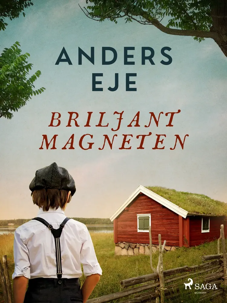 Briljantmagneten af Anders Eje