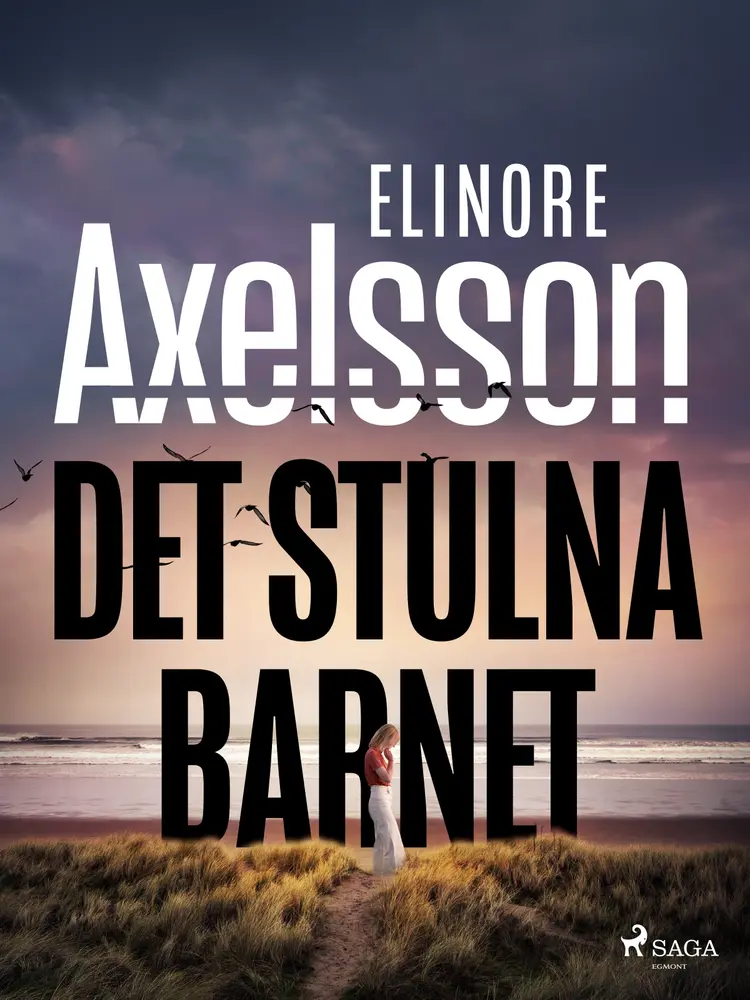 Det stulna barnet af Elinore Axelsson