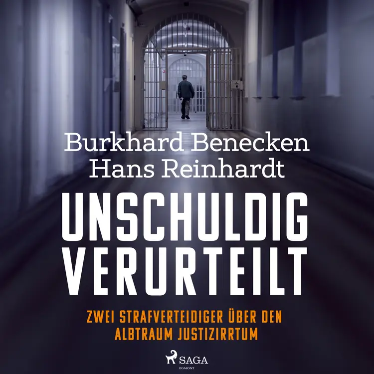 Unschuldig verurteilt: Zwei Strafverteidiger über den Albtraum Justizirrtum af Hans Reinhardt