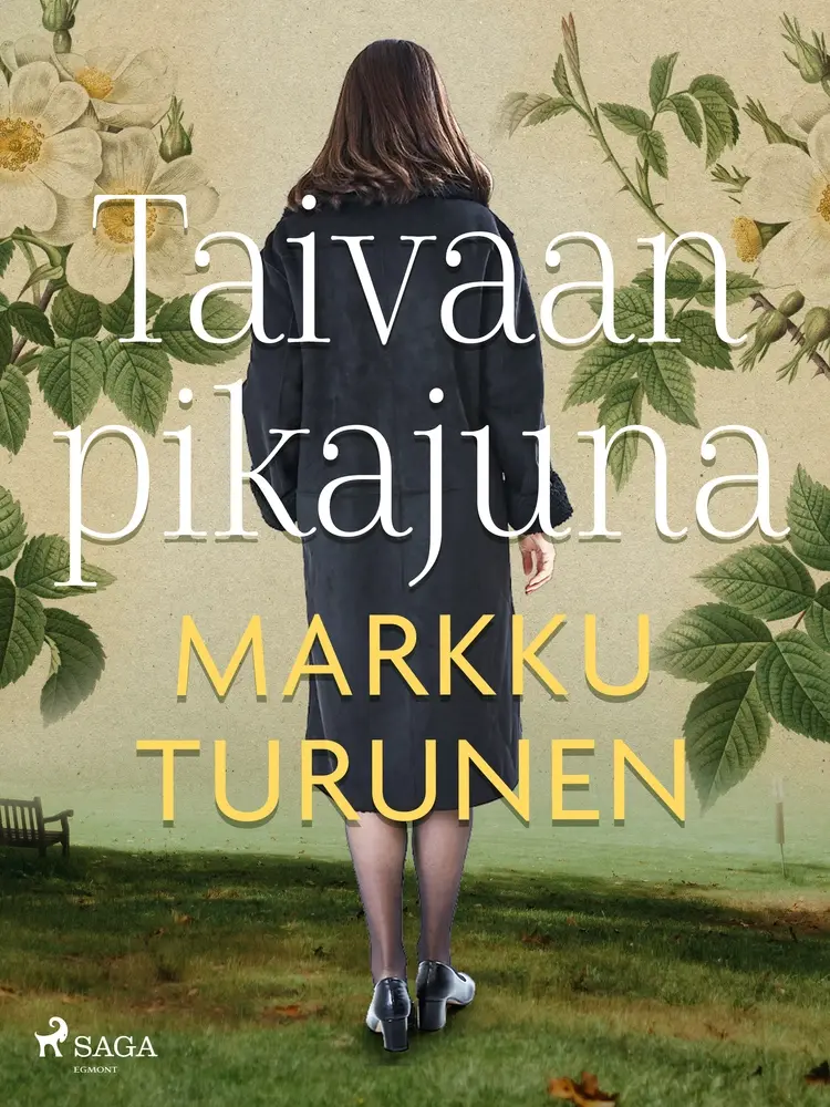 Taivaan pikajuna af Markku Turunen