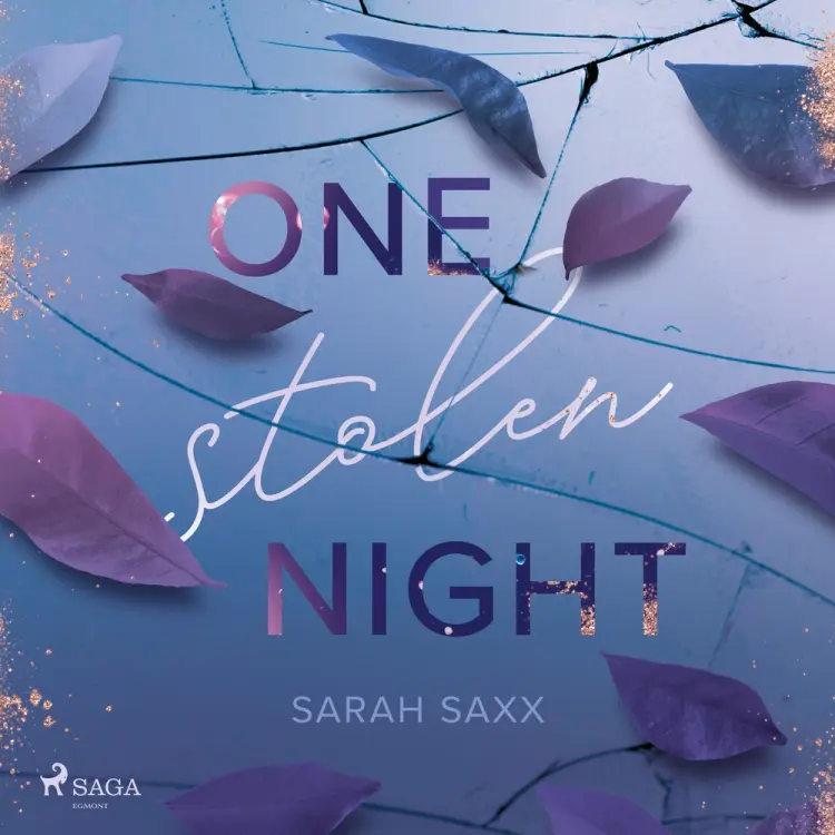 One Stolen Night af Sarah Saxx
