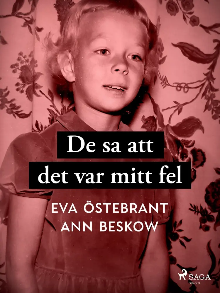 De sa att det var mitt fel af Ann Beskow