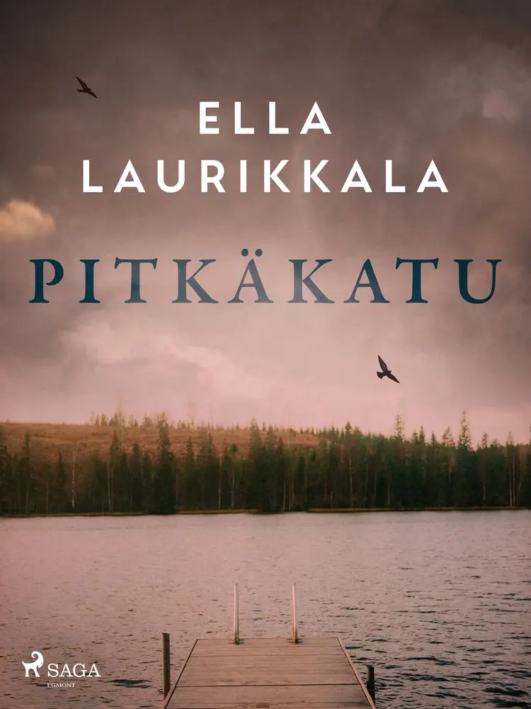 Pitkäkatu af Ella Laurikkala