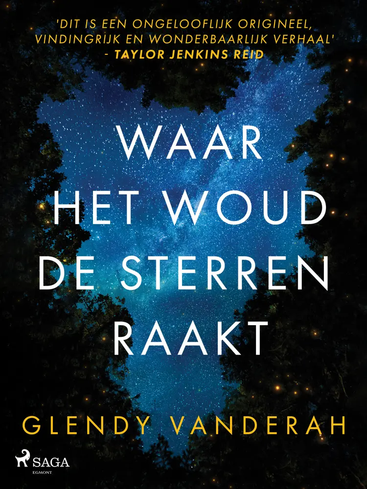 Waar het woud de sterren raakt af Glendy Vanderah