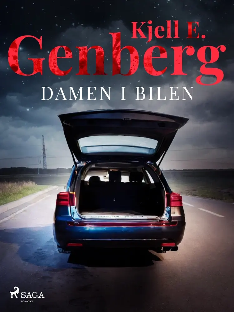 Damen i bilen af Kjell E. Genberg