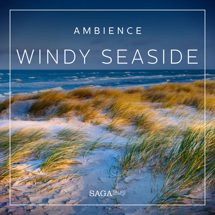 Ambience - Windy seaside af Rasmus Broe
