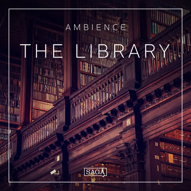 Ambience - The Library af Rasmus Broe