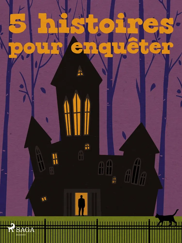 5 histoires pour enquêter af Robert Louis Stevenson