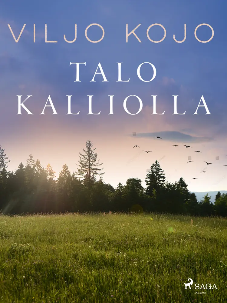 Talo kalliolla af Viljo Kojo