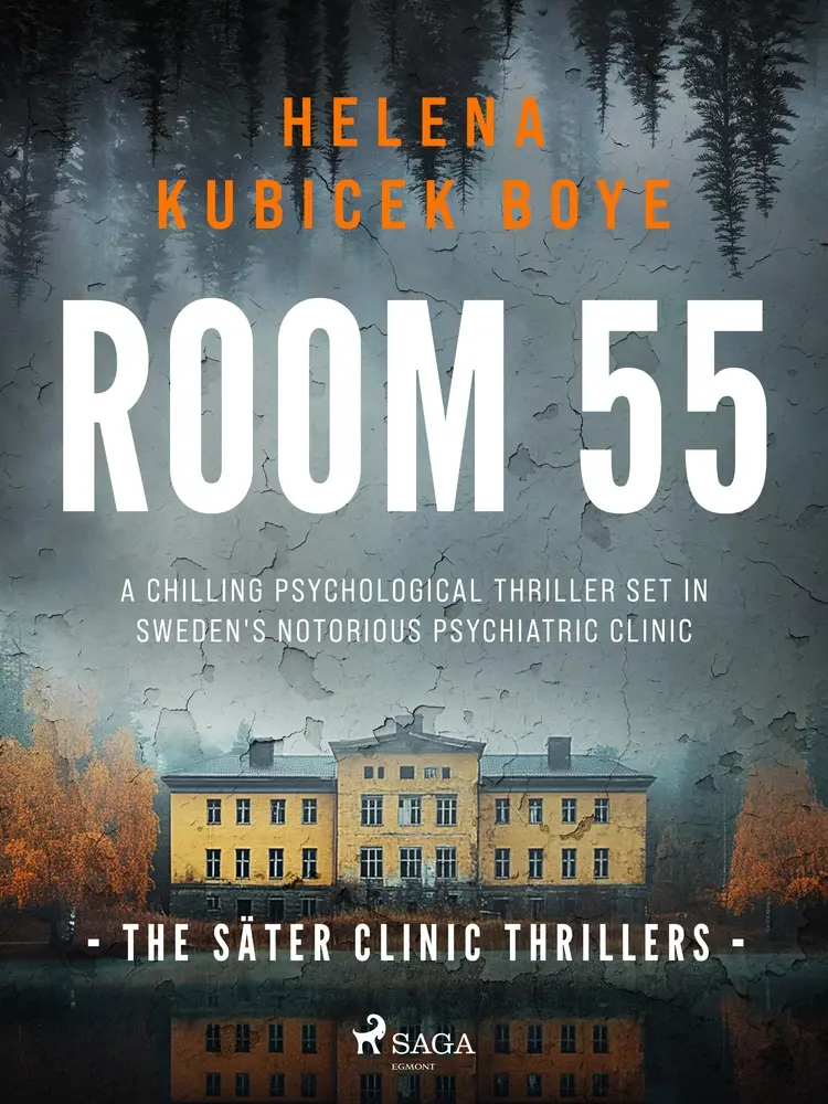 Room 55: A clever Scandi-Noir thriller set in Sweden's notorious psychiatric clinic af Helena Kubicek Boye