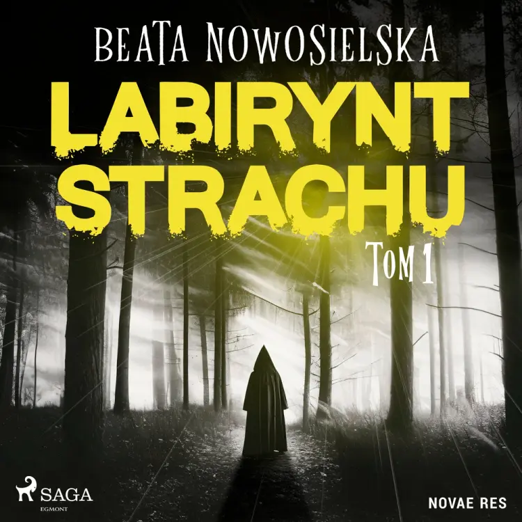 Labirynt strachu. Tom 1 af Beata Nowosielska