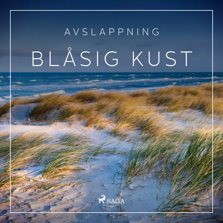 Avslappning - Blåsig kust af Rasmus Broe