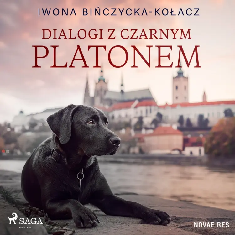 Dialogi z czarnym Platonem af Iwona Bińczycka-Kołacz