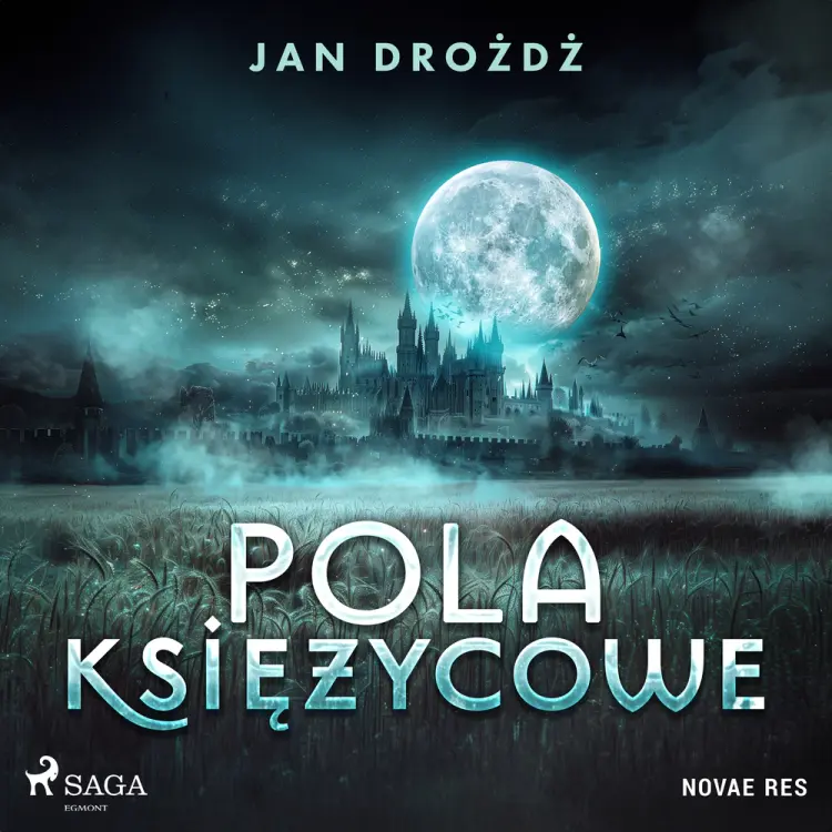 Pola księżycowe af Jan Drożdż