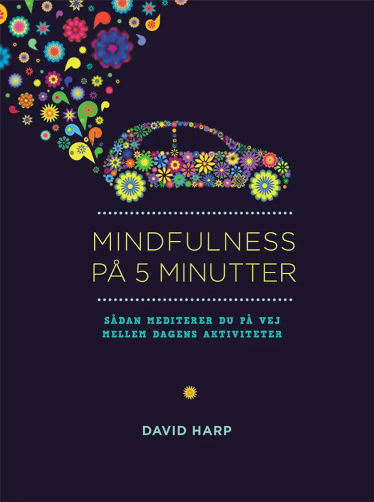 Mindfulness på 5 minutter af David Harp